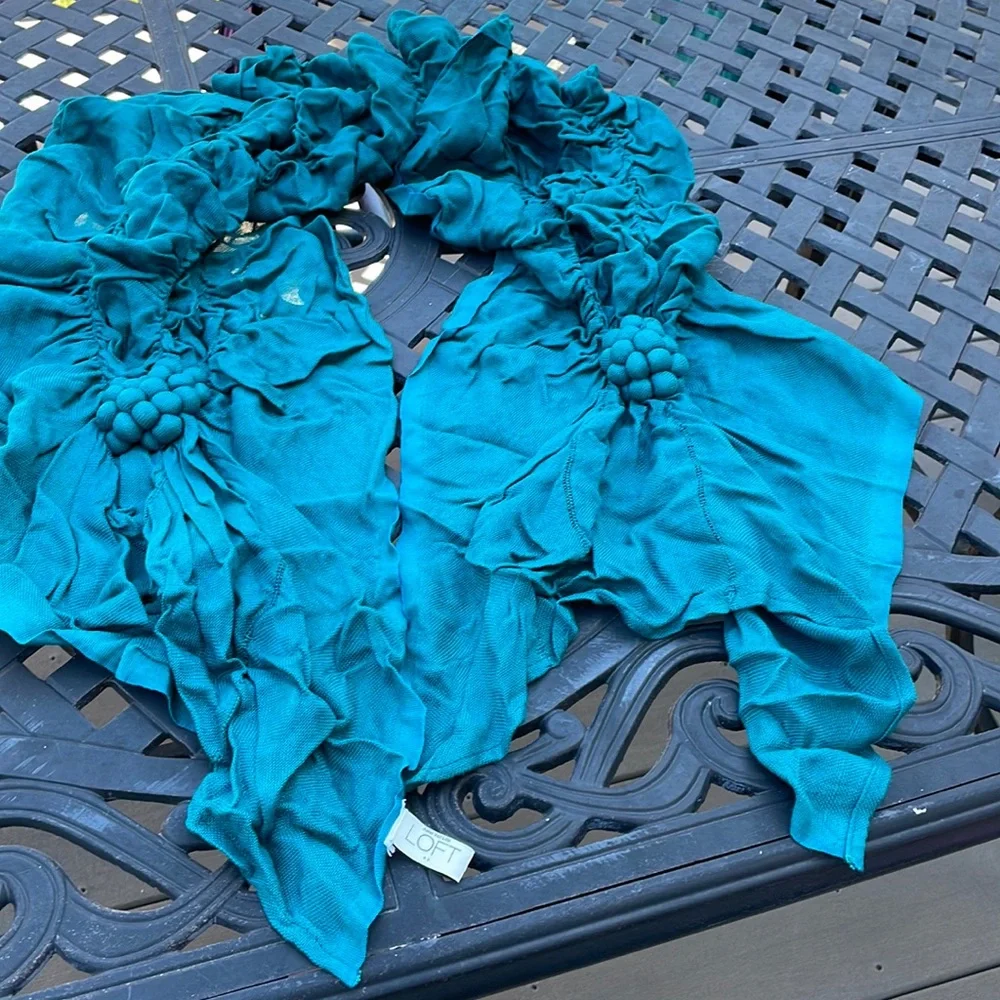 AnnTaylor Loft Scarf - Picture 1 of 5